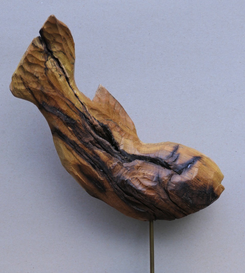 A short description about the picture goes here