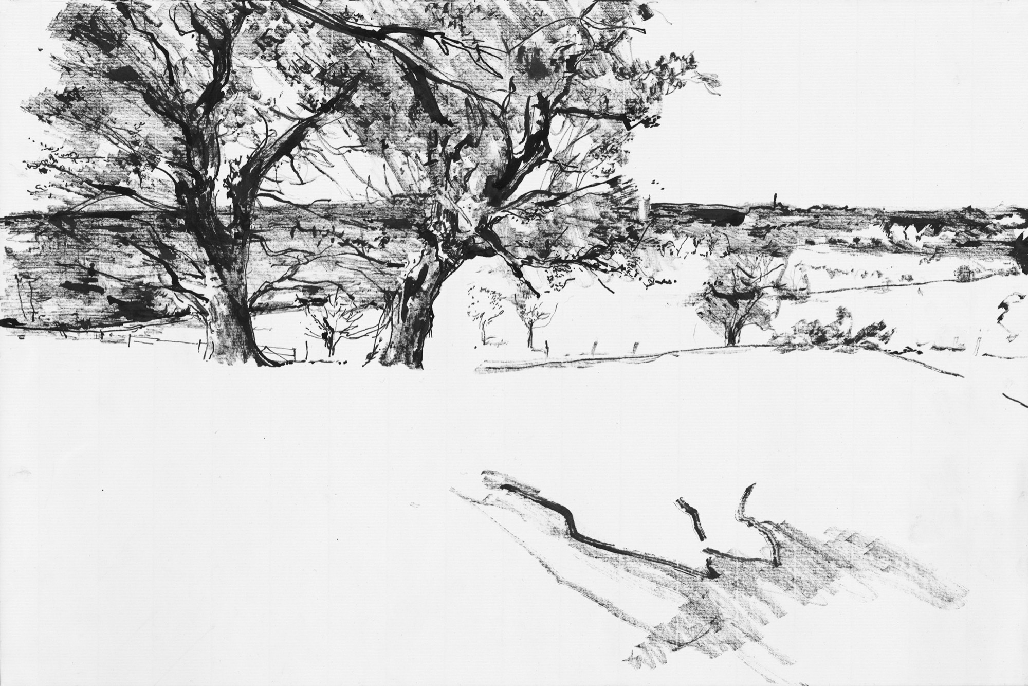 A short description about the picture goes here