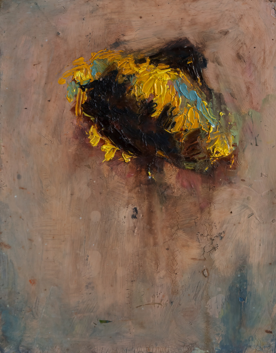 Stacks Image 4157